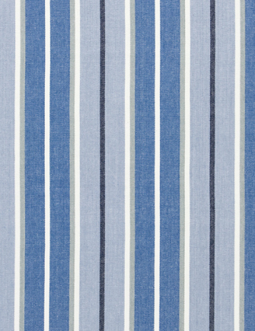 Ткань Designers Guild Tickings F1910/03