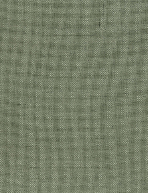 Ткань Osborne & Little Abacus FR F6622-04