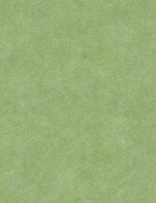 Обои Aura Evergreen 7333