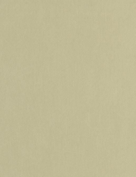 Обои Casadeco So Color 6 SOCO201007202