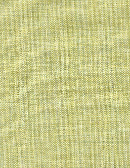 Ткань Designers Guild Ishida F1393/41