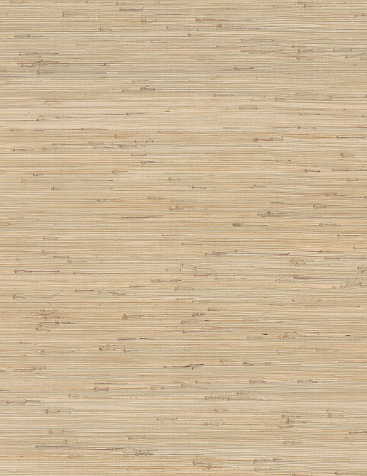 Обои York Ronald Redding Grasscloth & Natural Resource GV0231
