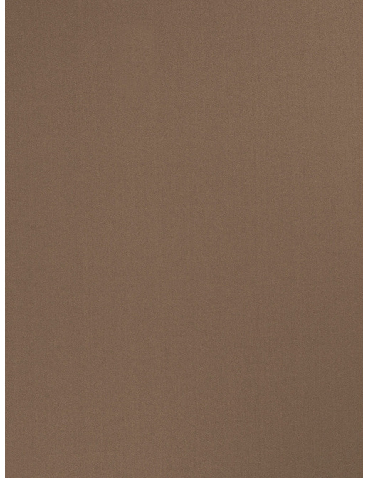 Ткань Trend Multipurpose Sleek Satin Vol.II 02022/Fossil