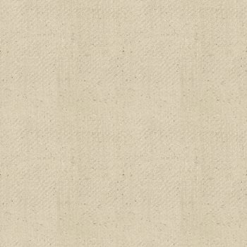 Ткань Ralph Lauren Texture Library LFY20755F