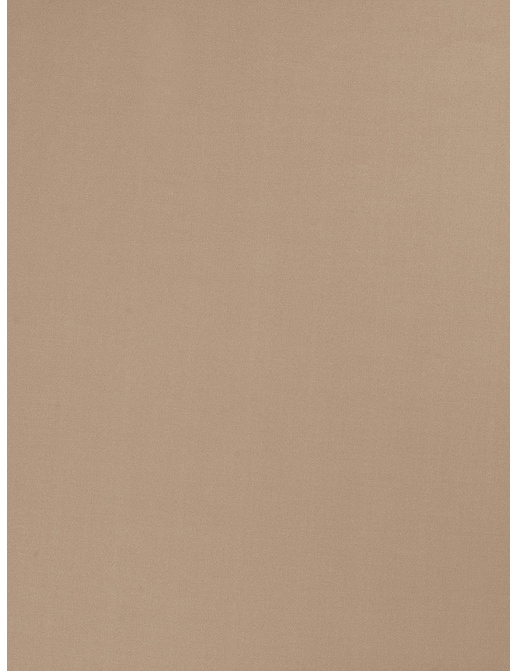 Ткань Trend Multipurpose Sleek Satin Vol.II 02022/Putty