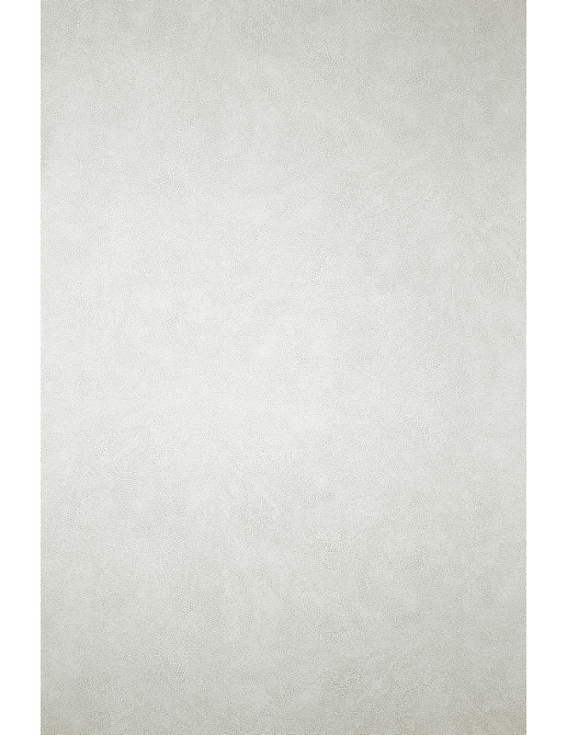 Обои Osborne & Little Wallpaper Album VII W6303-04