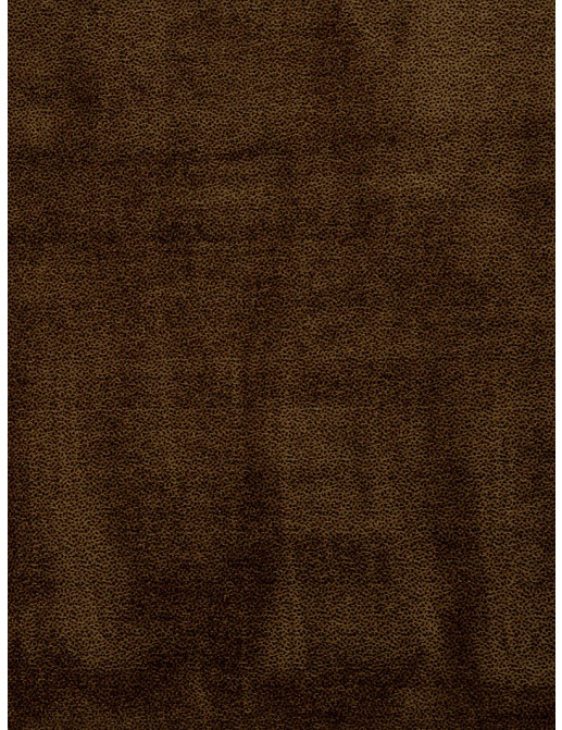 Ткань Trend Chocolate Onyx Prints & Wovens Vol.II 02409/Walnut