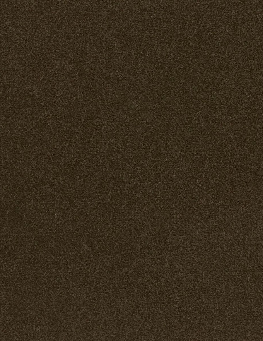 Ткань Loro Piana Cotton Velvet II AC3036/004