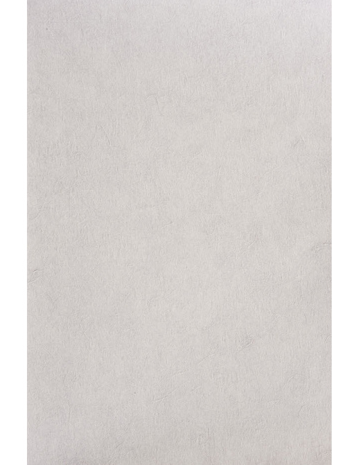 Обои Texdecor Kyoto 90411011