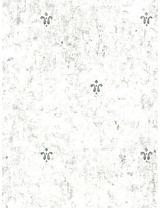Обои Blue Mountain Black & White BC1580203