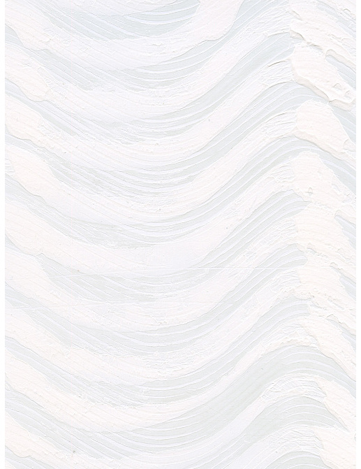 Обои Holland & Sherry Modern Legacy DEWP2222/Wavelength Cool White