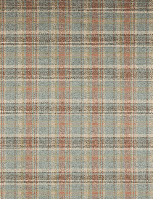 Ткань Colefax and Fowler Magnus Checks F4721/01