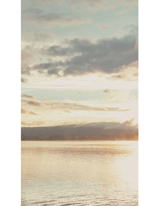 Панно и фотообои Eijffinger Lino 379103