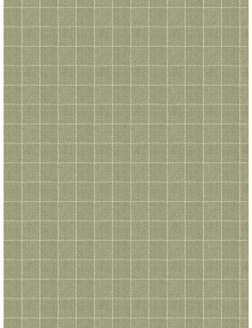 Ткань Fabricut Checks&Stripes Avalon Lane SweetGrass/Cactus