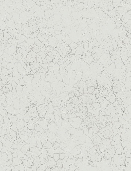 Обои Mayflower Transition FJ31208