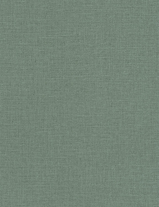 Обои Caselio Jute JTE104017789