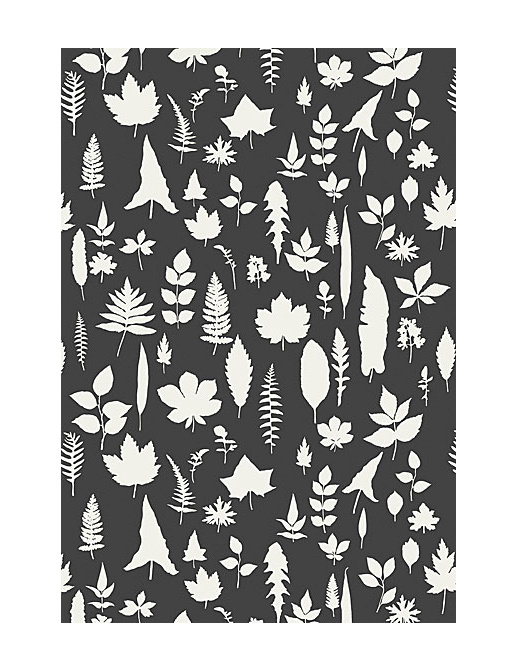 Обои Schumacher Modern Nature 5005023