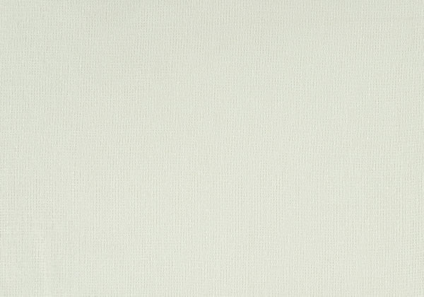 Ткань Designers Guild Santiago F1647/05