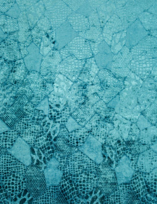 Ткань Designers Guild Bernardini F1765/02