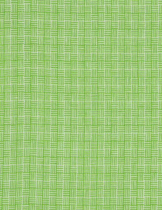 Ткань Designers Guild Brera Filato F1996/07