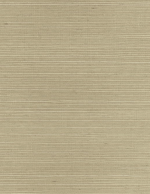 Обои Paper & Ink Pure Elements SY21843