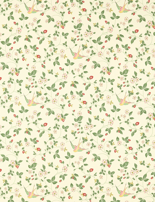 Ткань Clarke & Clarke Botanical Wonders F1606/03