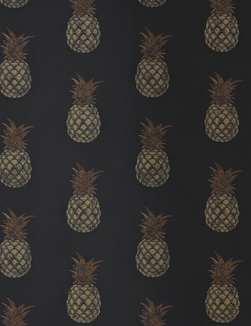 Обои Barneby Gates Book vol.3 BG1200202/Pineapple/Charcoal