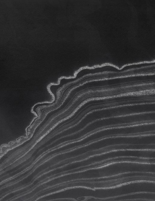 Панно и фотообои Calico Sumi Pebble