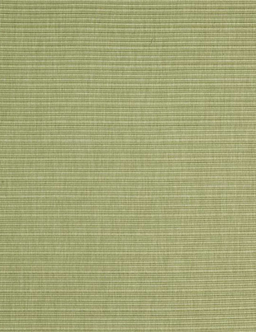 Ткань Galleria Arben Rucci RUCCI/18/Moss