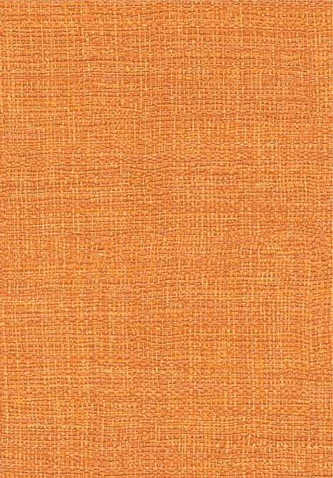 Обои Elitis Madagascar Arrowroot Raw Raffia VP73137