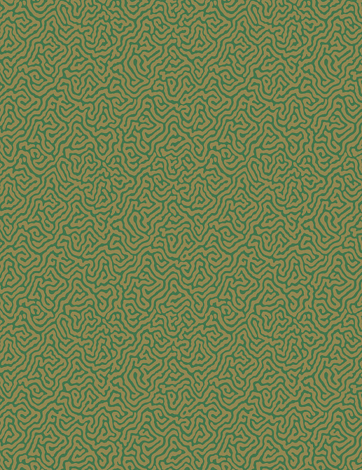 Обои Cole & Son Curio 107/4022