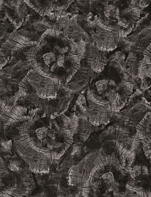 Панно и фотообои Uniwal Sylva 1 SY10401C