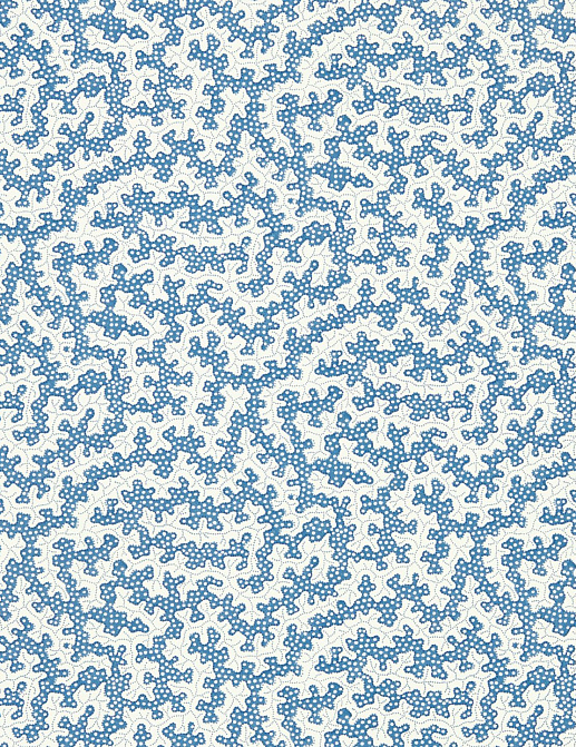 Обои Sanderson Arboretum 217239