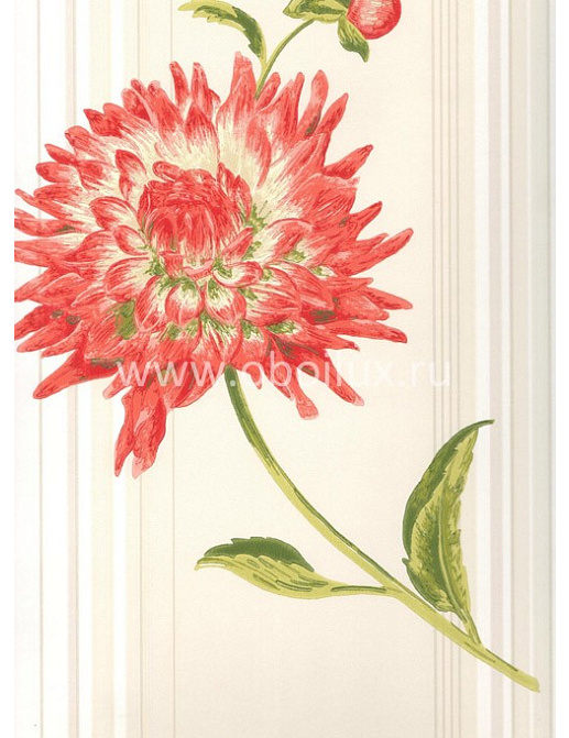 Обои York Antonina Vella - Botanica VB6744