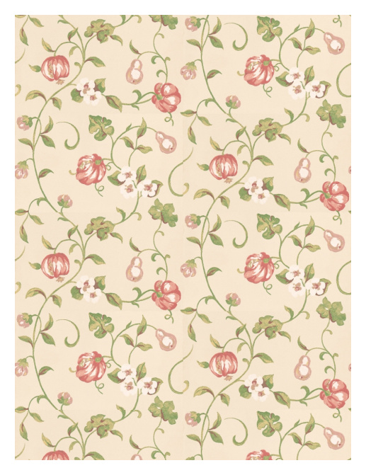 Обои Sanderson Wallpapers from a Painters Garden DAPGPO103