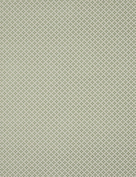 Ткань Colefax and Fowler Romilly F4937-06