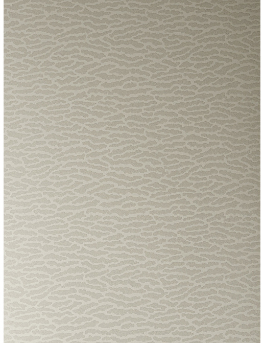 Обои Vervain Barry Dixon 90008W/01