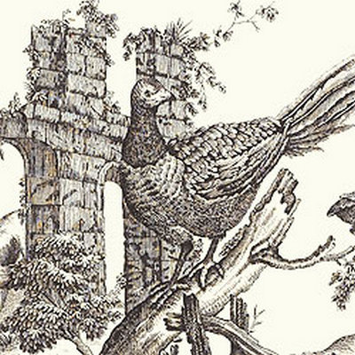 Обои Thibaut Castle Pine T6341