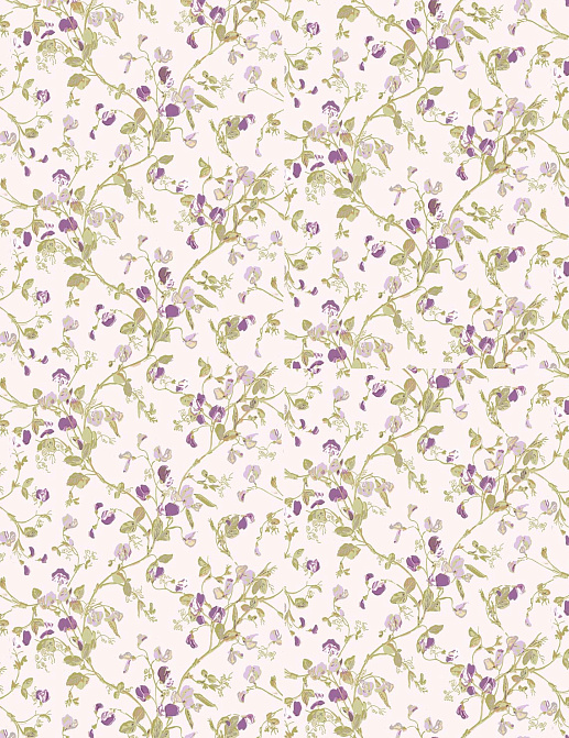 Обои Cole & Son Collection of Flowers 81/11047