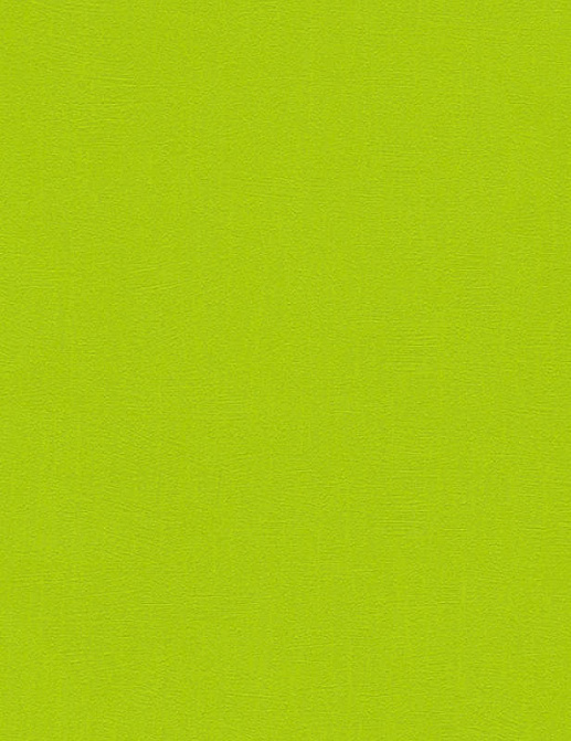 Обои A. S. Creation Pop Colors 346216
