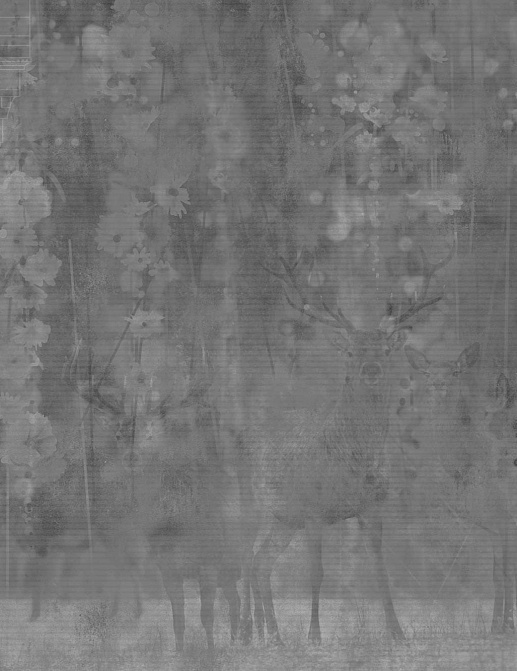 Панно и фотообои Gemini Designer murals collection KT119M-C