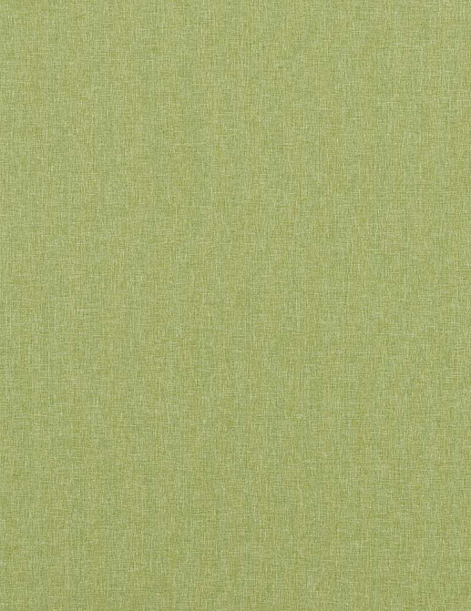 Ткань Baker Lifestyle Notebook Carnival Plain PF50420/735