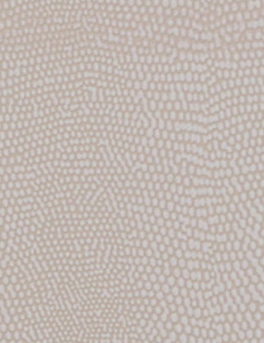 Обои Innovations Collection Komodo KOM-003 DASAMI