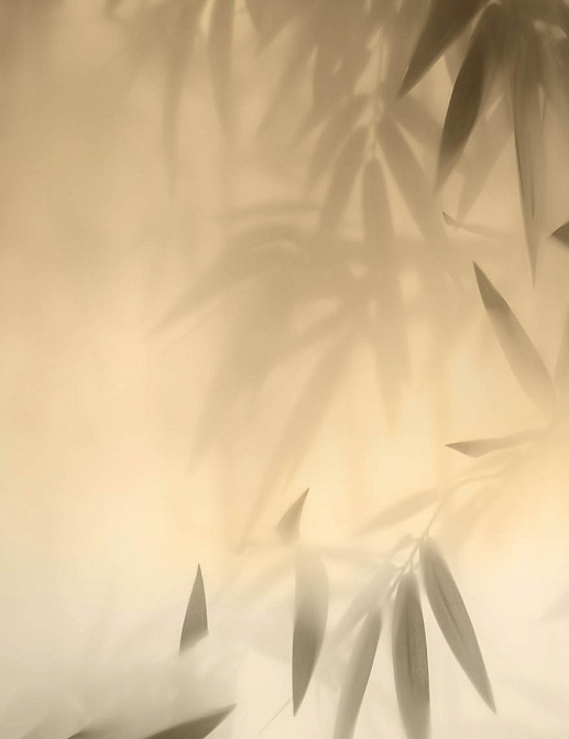 Обои Glamora Creative Wallcovering GLIX341A