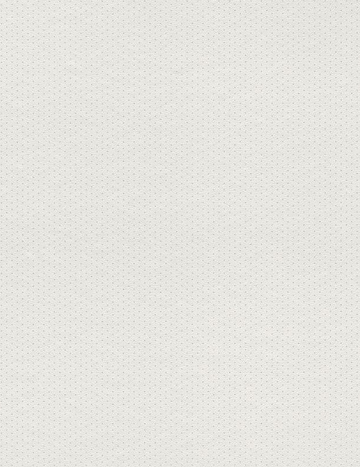 Обои Rasch Petit Fleur 4 288970