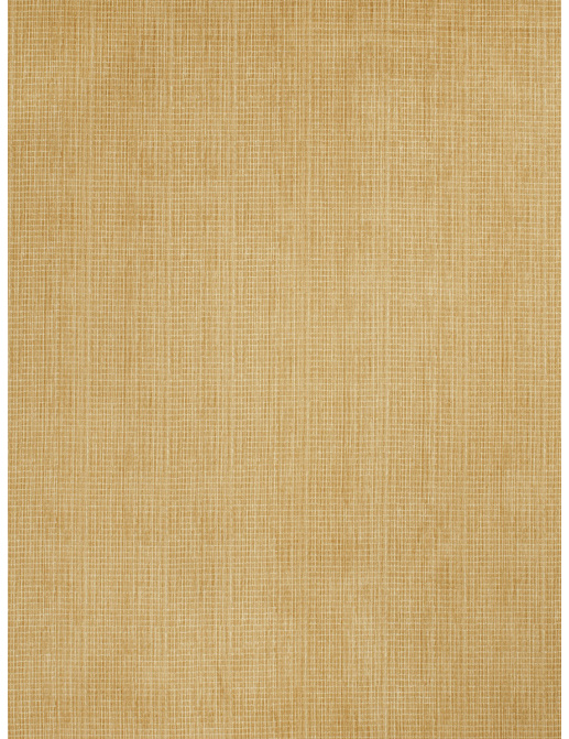 Ткань Fabricut Chromatics Vol.XXII Golden Rustica/Honeycomb