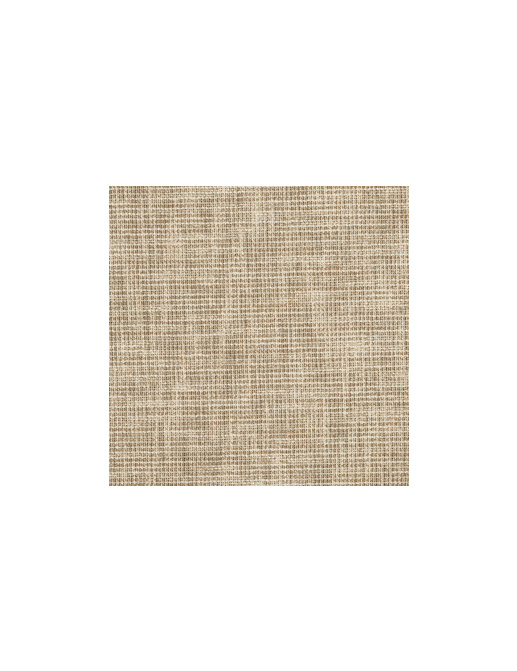 Ткань Fabricut Vignettes Vol.XIII Latte Kamose texture/Driftwood