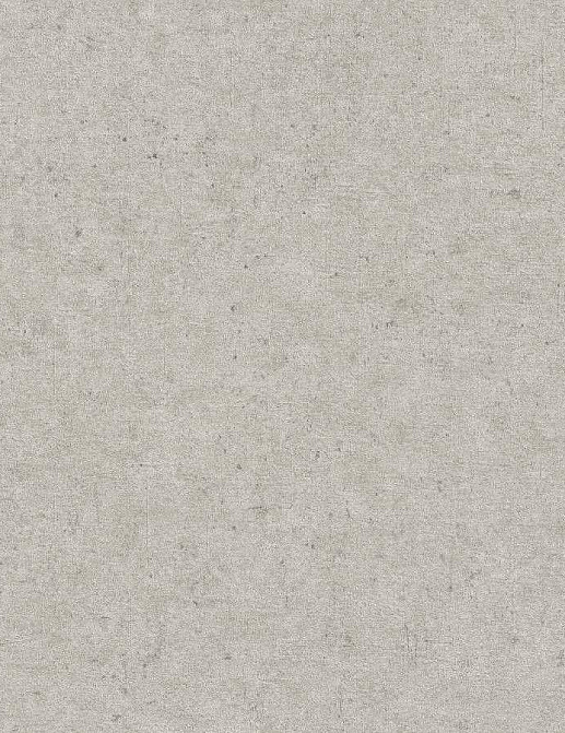 Обои Rasch Concrete 520859