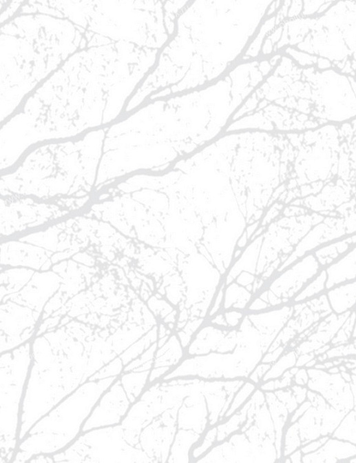 Обои Eco White Light 1736