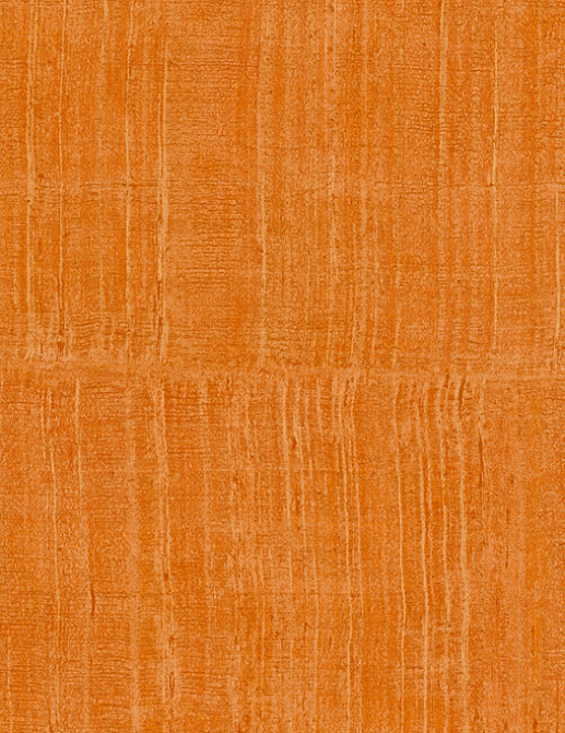 Обои Arte Alaya 11511